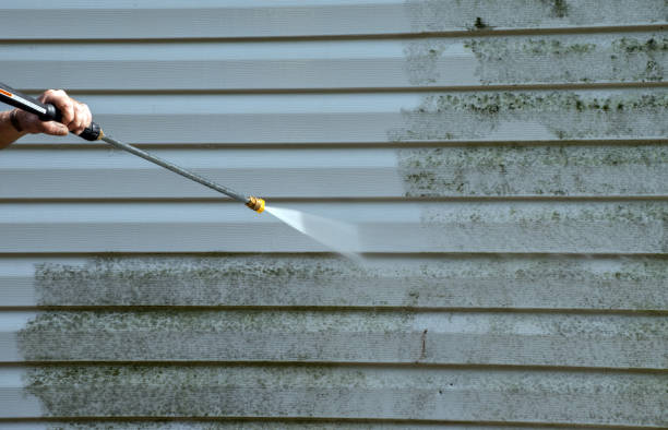 Best Patio and Deck Pressure Washing  in Mastic Beach, NY